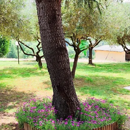 Casa Fattorini *